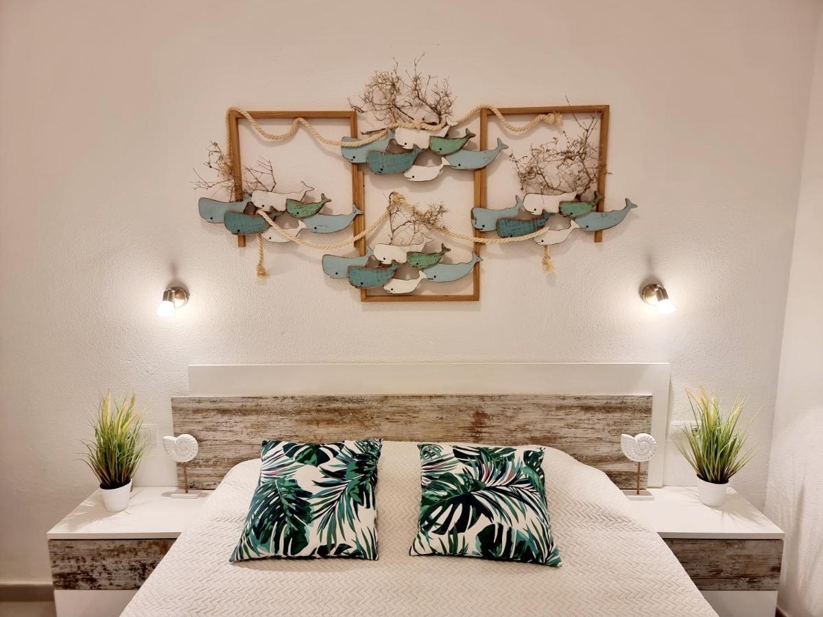 Ocean Forty C Apt. Green Oasis Costa Calma Fue ภายนอก รูปภาพ